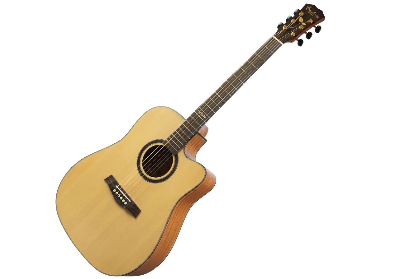 Folk Guitar รุ่น FG-350C